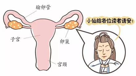 广州哪些医院做供卵试管，广州试管成功率高的医院有哪些