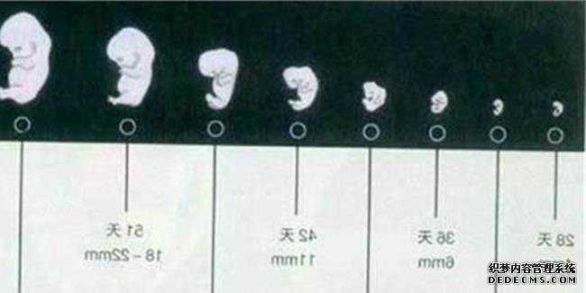 广州供卵试管可靠性_广州代广州代孕代妈多少钱