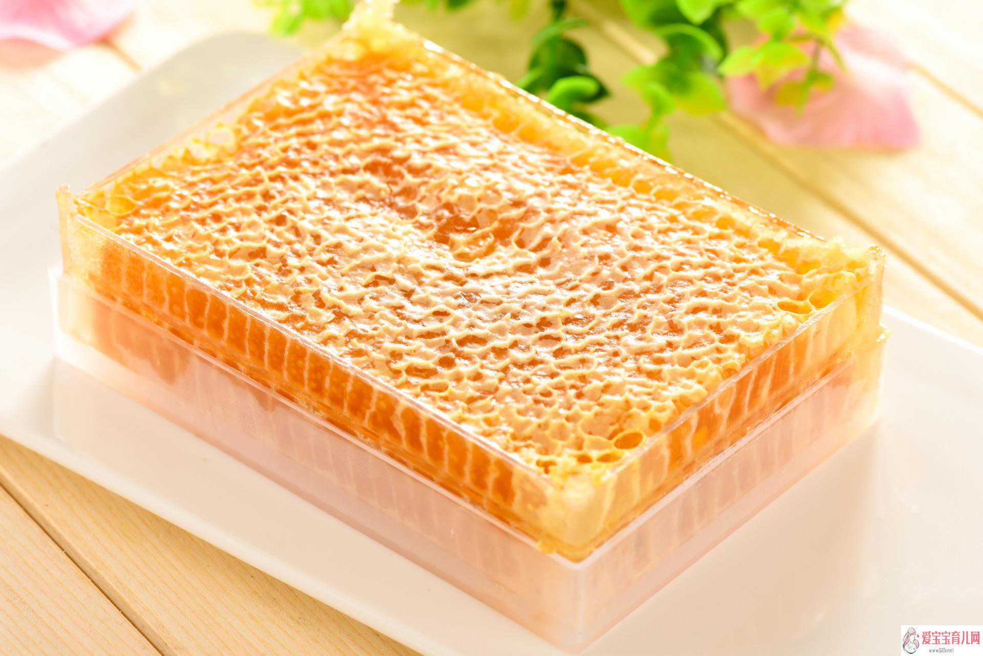 广州哪里可以借卵生子，蜂胶怎么吃好蜂胶的吃法与用量