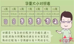 广州哪里可以提供供卵女孩，日常要注意呵护卵巢，卵巢呵护应该从哪些方面着