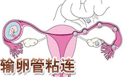 广州供卵医院问~广州哪里有供卵的公司，排卵期怎样容易受孕排卵期怀孕几率
