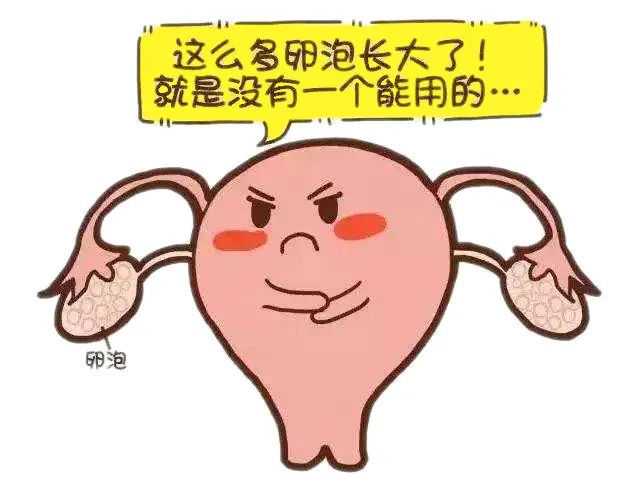 比较好的广州代孕机构,【广州好点的供卵机构】终于轮到我传递好孕了，放松