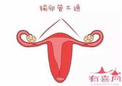 福州供卵助孕价格,【广州供卵助孕价格】排卵晚，末次月经7月18号，有胎心胎