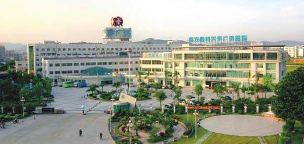 广东代生热线,广州三代试管婴儿最好的私立医院？