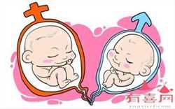 青岛助孕网站的名称,2022青岛哪里能利用供卵试管技术助孕生子？