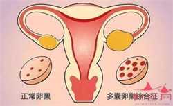 郑州代孕包生女儿,郑州试管婴儿代孕机构名单，附辅助生殖机构名单？