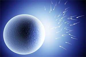 长沙供卵中介,2023长沙市妇幼保健院有卵子库吗附供卵试管生双胞胎四大条件