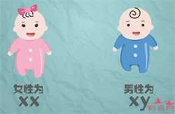武汉代孕试管婴儿生殖中心，分享我的在武汉同济生殖中心的试管经历