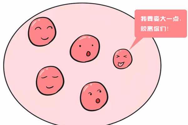 武汉代孕试管最好的医院，武汉哪些医院可以做供卵试管婴儿？附武汉试管医院