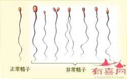 上海有代孕女人吗，上海助孕-上海三代试管医院