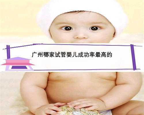 广州哪家试管婴儿成功率最高的